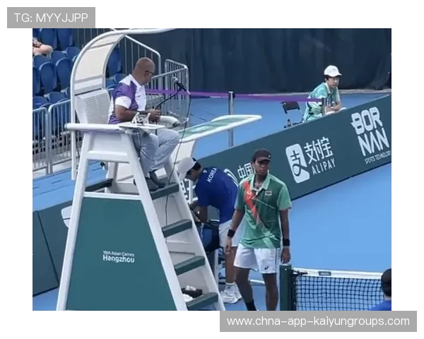 网球裁判被球砸脸