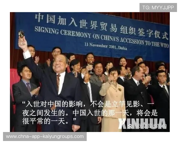 发展中待遇退场，中国WTO政策大调整