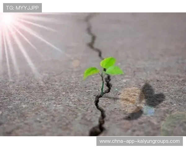 心理抗挫力：如何在逆境中完成反转？